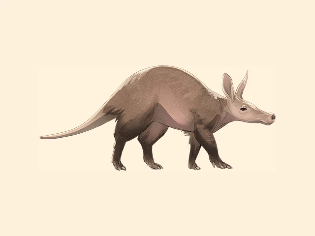 Aardvark