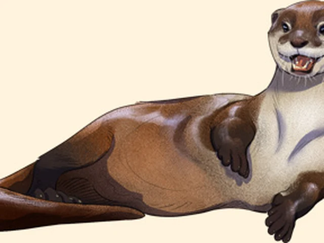Asian Small Clawed Otter