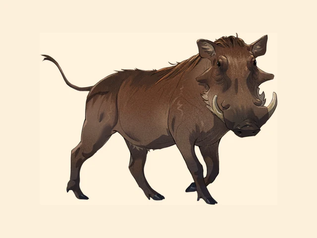 Common Warthog