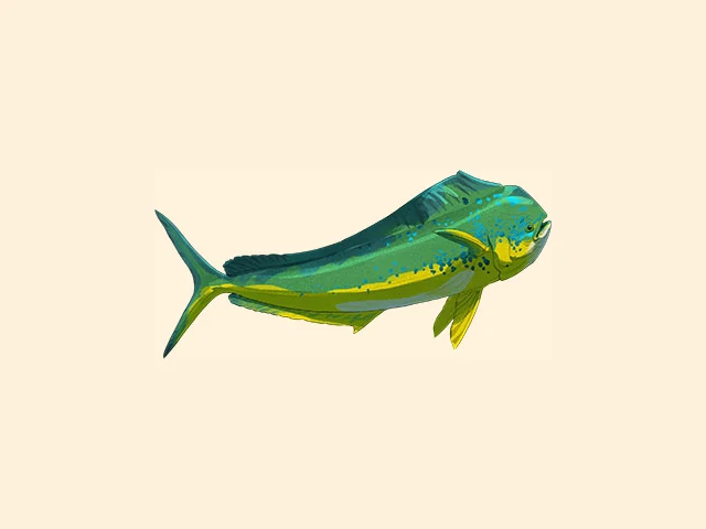 Dolphinfish