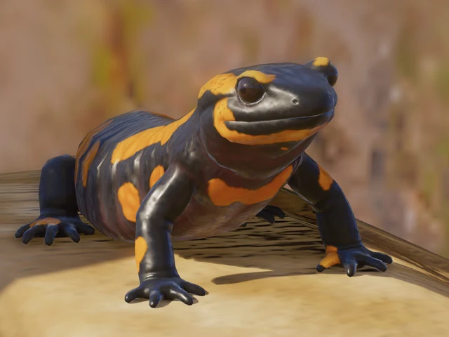 Fire Salamander