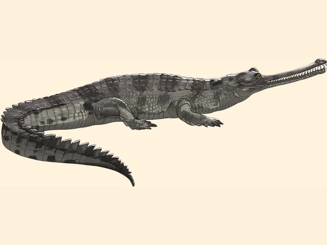 Gharial