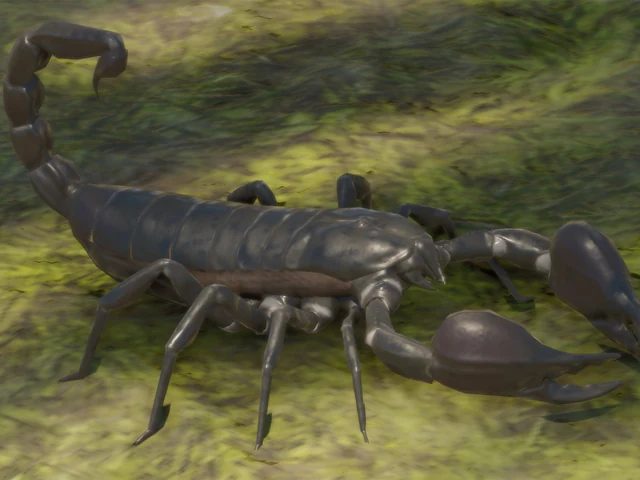 Giant Forest Scorpion
