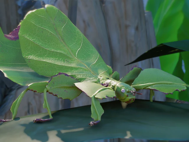 Giant Malaysian Leaf Insect
