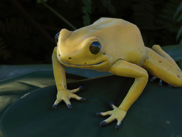 Golden Poison Frog