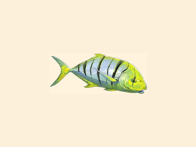 Golden Trevally