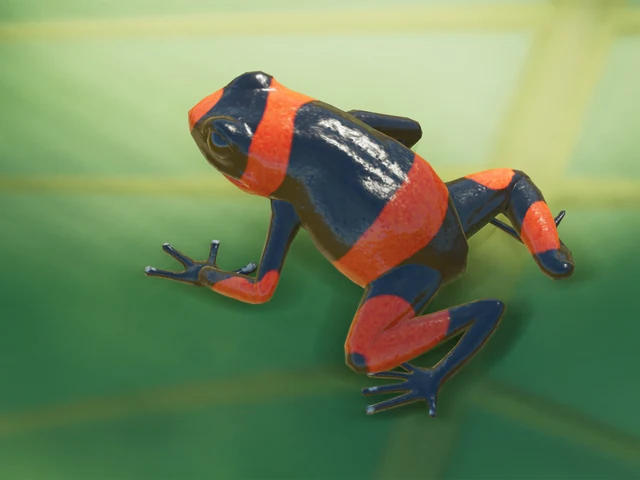 Lehmann's Poison Frog