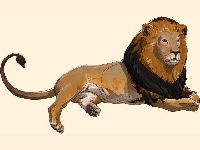 Lion