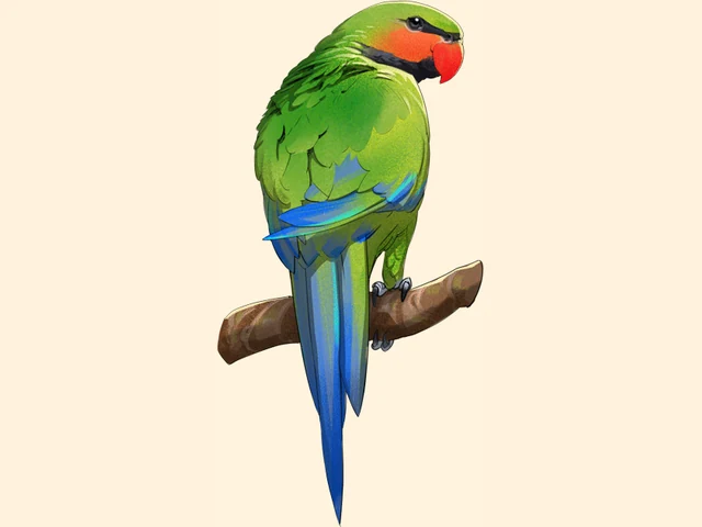 Long Tailed Parakeet