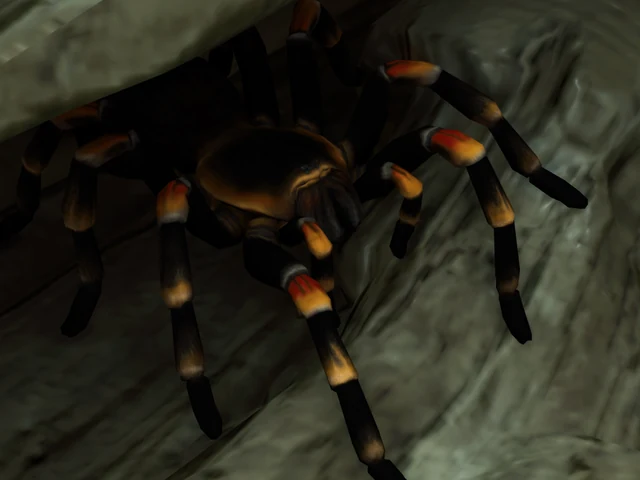 Mexican Redknee
