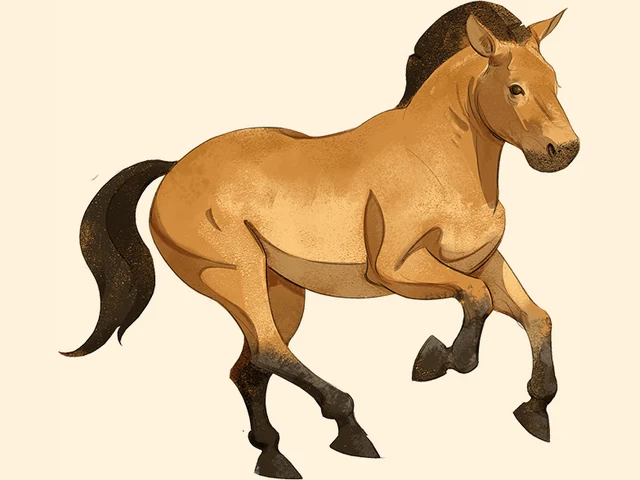 Przewalski's Horse