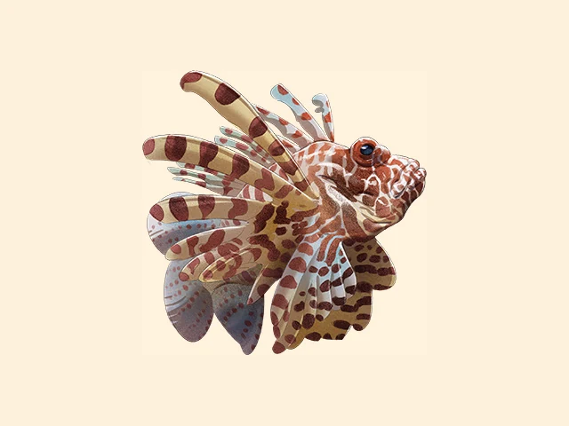 Red Lionfish