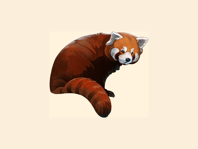 Red Panda