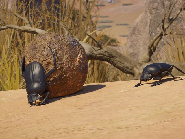 Sacred Scarab Beetle