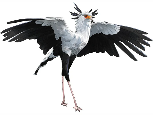Secretarybird