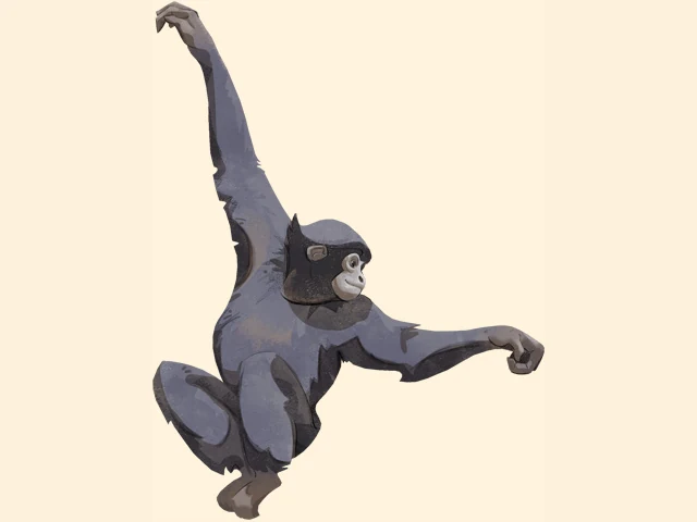 Siamang