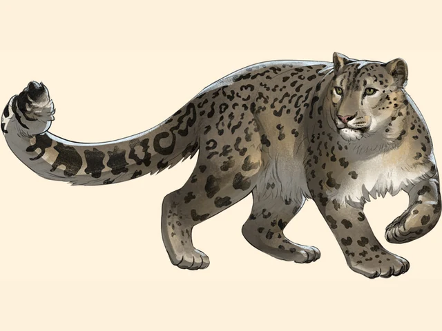 Snow Leopard