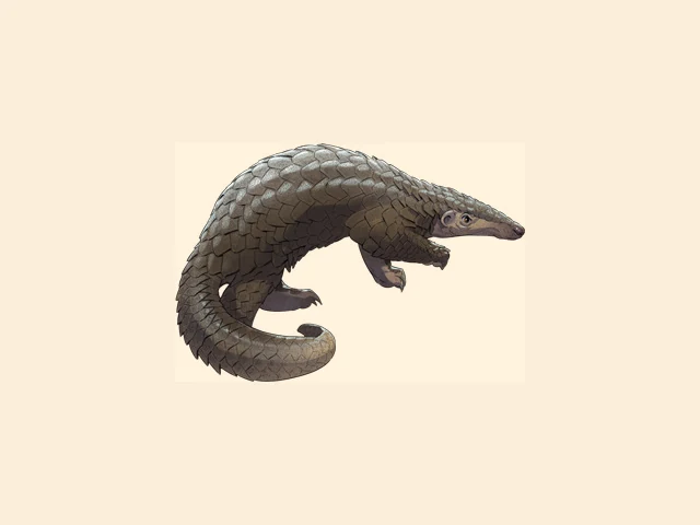 Sunda Pangolin