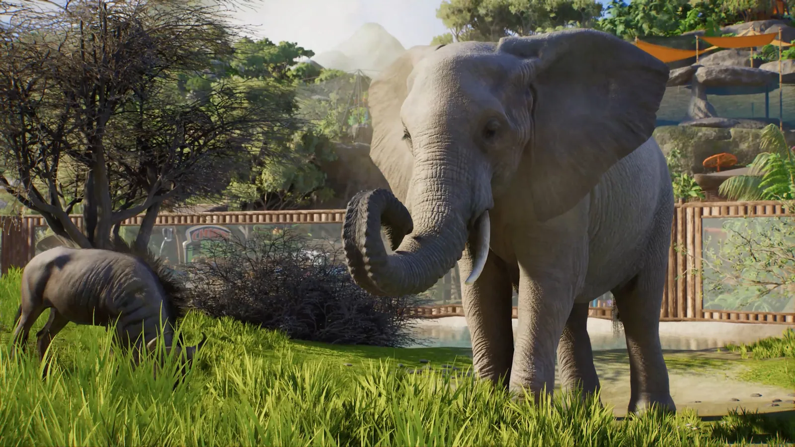 Planet Zoo 2 gameplay