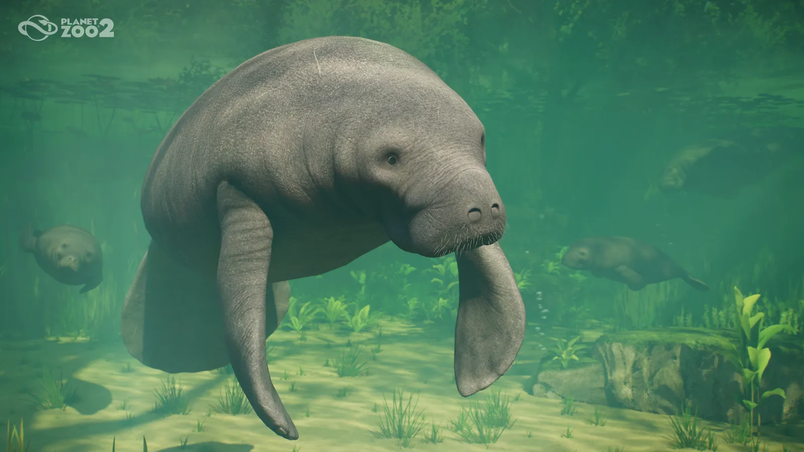 Manatee in Planet Zoo 2